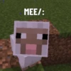 Minecraft_UZ06 10