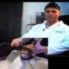 Monkey Haircut 11