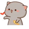 Mochi Peach Cat 2 12
