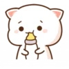 Mochi Peach Cat 2 13