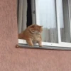 meowmeow*~* 14