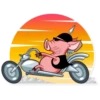 Pete The Pig 9