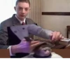Monkey Haircut 13