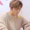 kpop 18