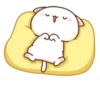 Mochi Peach Cat 2 15