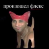 произошел флекс