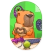 Mr. Capybara 13