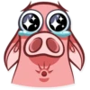 Pete The Pig 16