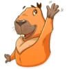 Mr. Capybara 15