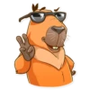 Mr. Capybara 16