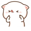 Mochi Peach Cat 2 17