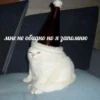 Broken animals 15