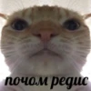 почом редис