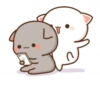 Mochi Peach Cat 2 18