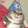 meowmeow*~* 22