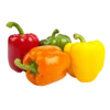 Masak 21