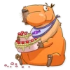 Mr. Capybara 19