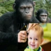 Monkey Haircut 24