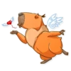 Mr. Capybara 22