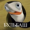 БУЛЬБАШ