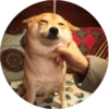 Favourite 13