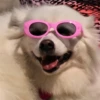 Mood в скринах 24