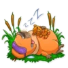 Mr. Capybara 23