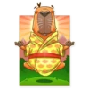 Mr. Capybara 24