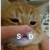 Mood в скринах 28