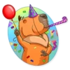 Mr. Capybara 27