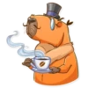 Mr. Capybara 28