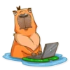 Mr. Capybara 29