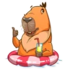 Mr. Capybara 30