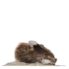 Funny animals 5