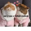 love you my baby 5