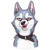 Moar Dog Memes 7