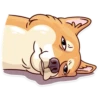 Moar Dog Memes 10