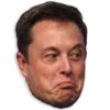 Elon Musk 5