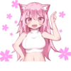 PinkPuni 8