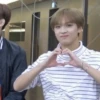 ⌗ Haechan meme by : 9