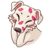 Moar Dog Memes 12