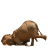 Funny animals 11