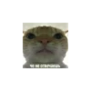 Mem 5