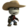 Little Big Planet ? 14
