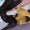 Miraculous meme (maryxzww) 8