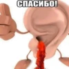 ПомойнаR Rма 12