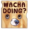 Moar Dog Memes 18