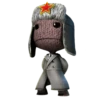Little Big Planet ? 17