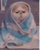 Meoww Pecc // 12