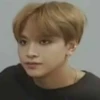 ⌗ Haechan meme by : 12